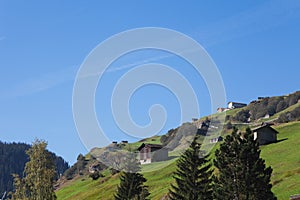 Switzerland, Grisons, Alps, Vals Valley, mountain pasture