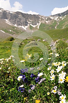 Switzerland Landscape