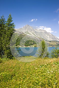 Switzerland landscape around Sils Llake