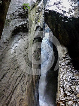 Switzerland, Lauterbrunnen, SCENIC VIEW OF WATERFALL IN FOREST