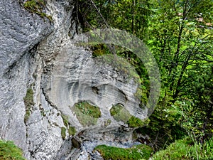 Switzerland, Lauterbrunnen, SCENIC VIEW OF WATERFALL IN FOREST
