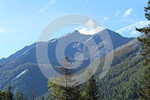 Switzerland Mountains Landscape sommer