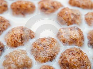 Swollen corn balls in milk close-up.