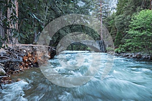 The swollen Merced River in Spring, Yosemite National Park