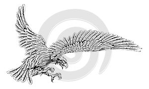 Swooping eagle