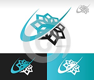 Swoosh Snowflake Icon