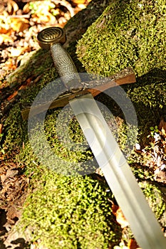 Sword on forest moss