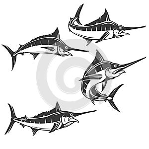 Swordfish icons isolated on white background. Vector illustration. photo