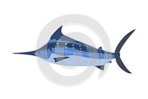 Swordfish Marine Predator Fish Animal Cartoon Vector Illustration