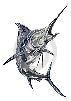 Swordfish. Vector illustration decorative design