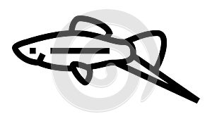 swordtail fish line icon animation