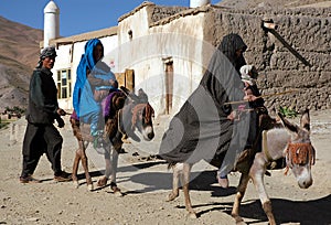 Syadara, Bamiyan Province, Afghanistan: Afghan family with donkeys