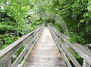 Sycamore Bridge over Owego Creek at NYS Bement-Billings Historic Farmstead