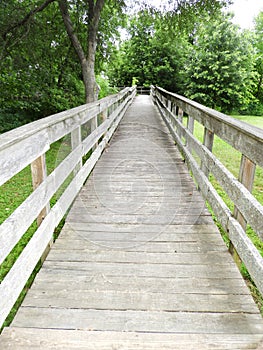 Sycamore Bridge wood Nature Trail over NYS Owego Creek