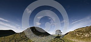 Sycamore Gap