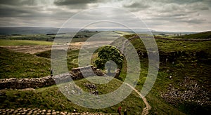 Sycamore Gap along Hadrians Wall