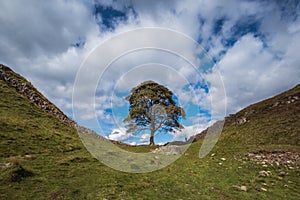 Sycamore Gap on Hadrians Wall