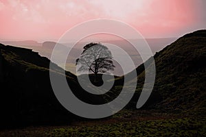 Sycamore Gap, Hadrians Wall, Great Britain