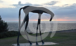 Sculpture by the Sea along the Bondi to Coogee coastal walk