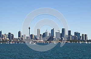 Sydney australia skyline from harbor