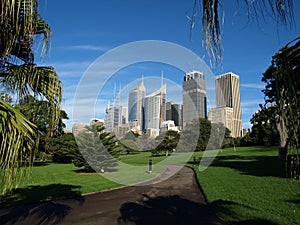 Sydney from Botanic Gardens