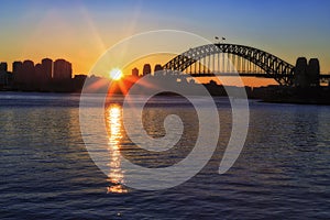 Sydney Bridge Sun rise from balmain
