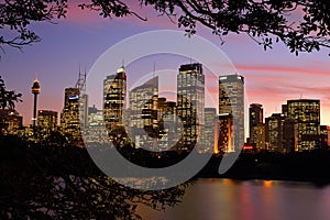 Sydney CBD cityscape buildings at sunset