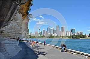 Sydney central district skyline from the Rosa Botanic Gardens in