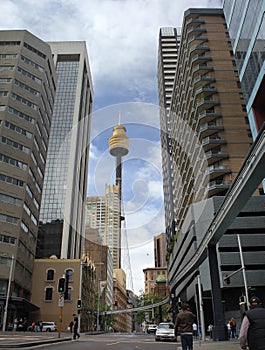 Sydney city center: sky tower view photo