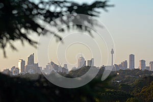 Sydney city skyline New South Wales Australia