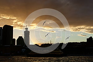 Sydney city skyline silhouette at sunset.