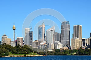 Sydney city with trees in foreground