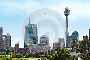 Sydney cityscape with St Marys Cathedral and Sydney Tower