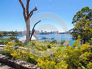 Sydney Harbour Australia on a sunny clear blue sky day with the turquoise colours of the bay