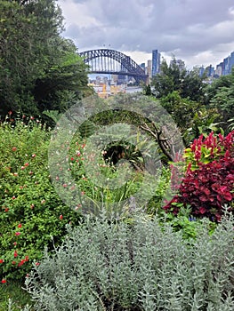 Sydney harbour bridge in the background of a garden on a cloudy overcast day