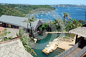 Sydney Harbour and Zoo