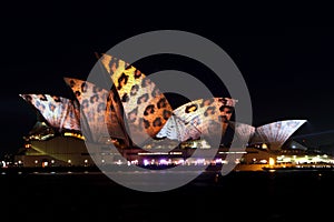 Sydney Opera House on Vivid Sydney