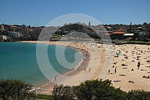 Sydney's Coogee Beach photo