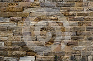 Sydney Sandstone Wall