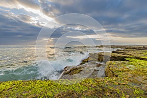 Sydney Seascape