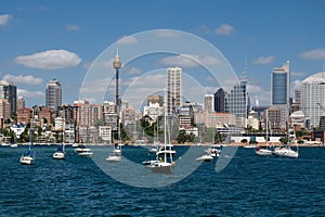 Sydney sky-scrapers photo