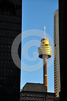 Sydney - the Sky Tower photo