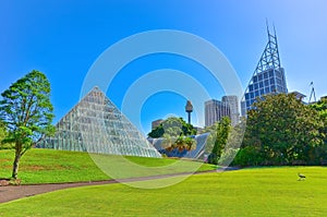 Sydney skyline from Royal Botanic Gardens in Sydney