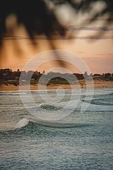 Sydney Sunset Serenity: Majestic Mountains, Ocean Waves, Orange Sands, and Verdant Trees in the Glow of Dusk