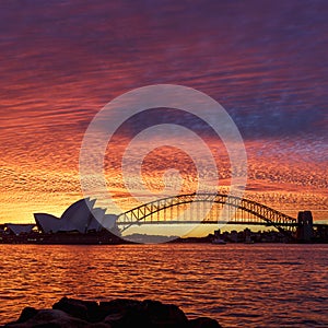 Sydney Sunset - Square