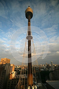 Sydney tower