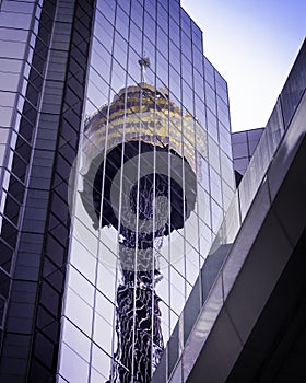 Sydney Tower