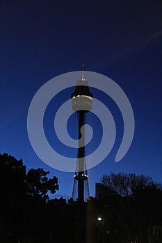 Sydney Tower at Night