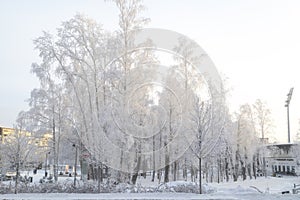 Syktyvkar, Komi, Russia.January 8, 2024,Frost on the trees.Very cold weather on the face of the city