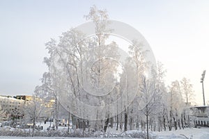 Syktyvkar, Komi, Russia.January 8, 2024,Frost on the trees.Very cold weather on the face of the city